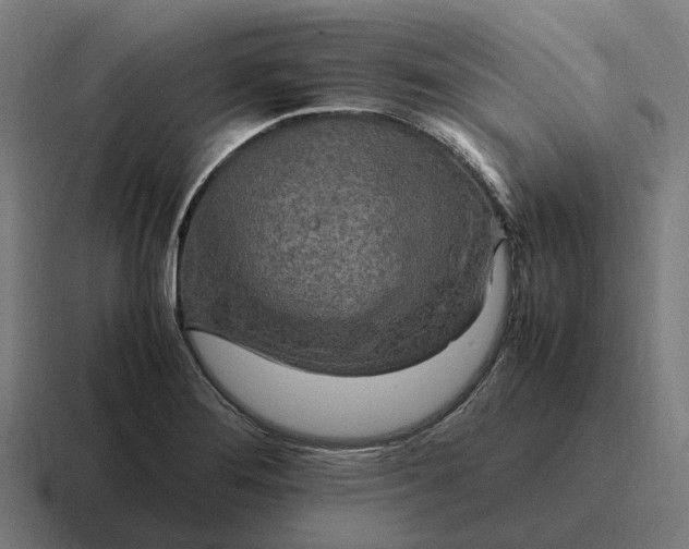 X0000116801276200912311929