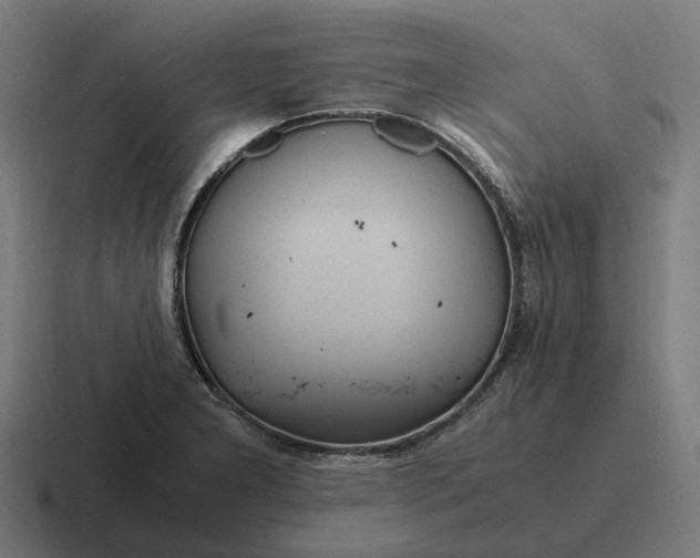 X0000116801277200912311929