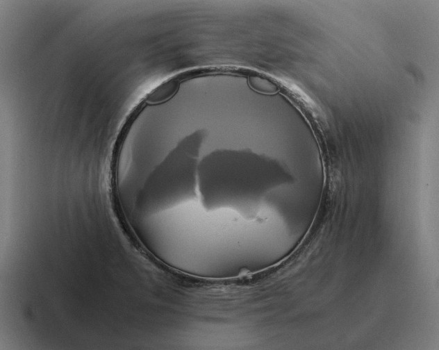 X0000116801279200912311929