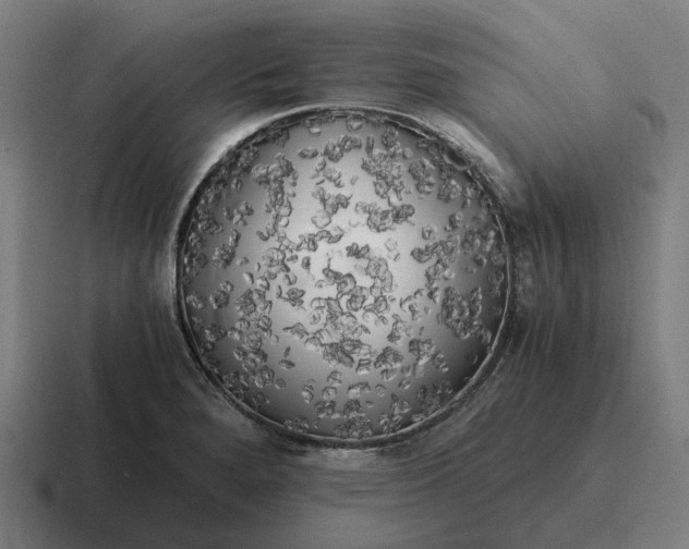 X0000116801280200912311929