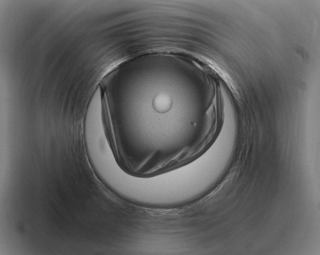 X0000116801281200912311929