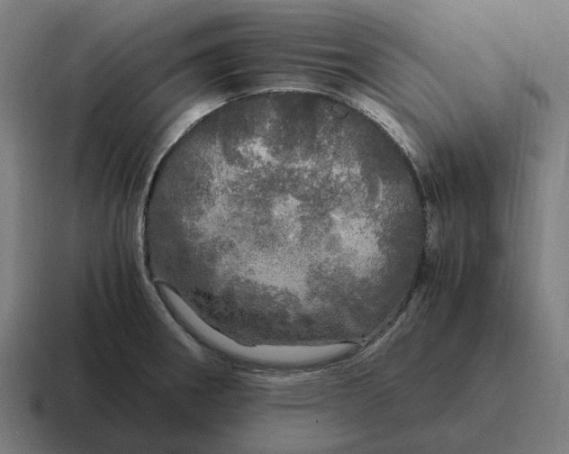 X0000116801282200912311929