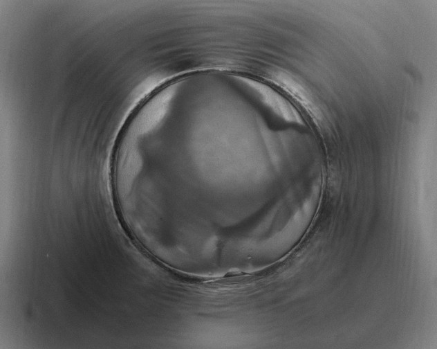 X0000116801283200912311929