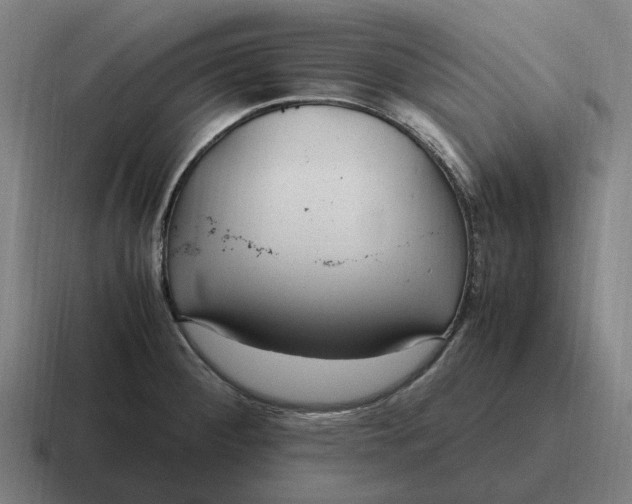 X0000116801284200912311929