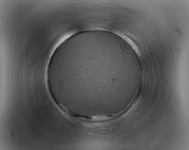 X0000116801285200912311929