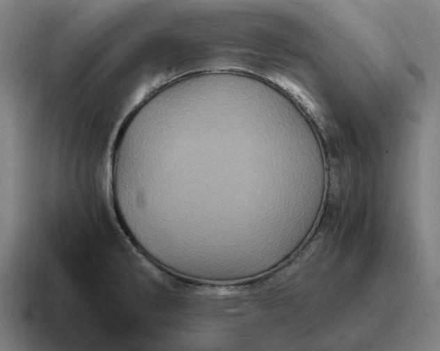 X0000116801286200912311929