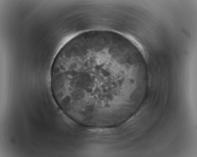 X0000116801287200912311929