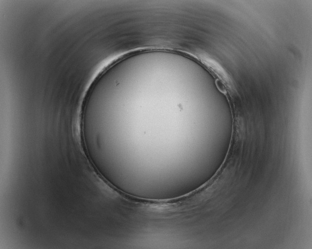 X0000116801288200912311929