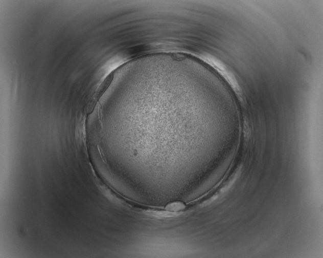 X0000116801289200912311929