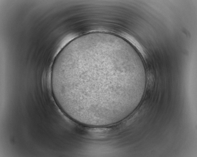 X0000116801290200912311929