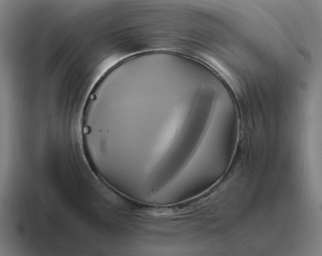 X0000116801291200912311929