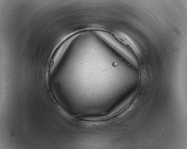 X0000116801292200912311929