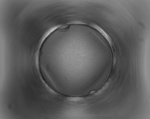 X0000116801293200912311929