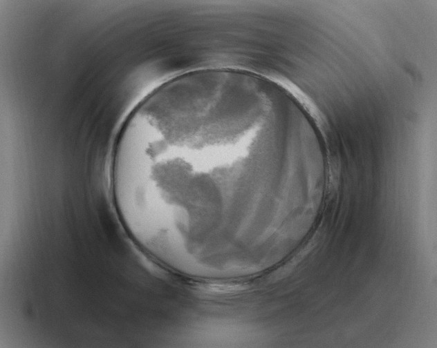 X0000116801294200912311929