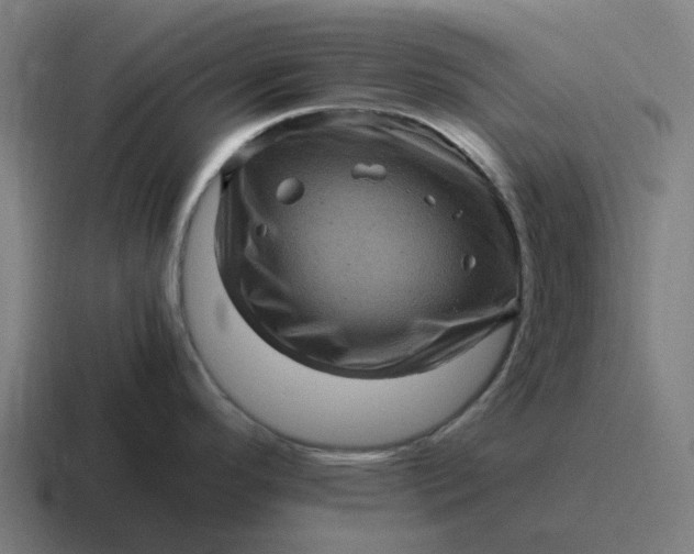 X0000116801296200912311929