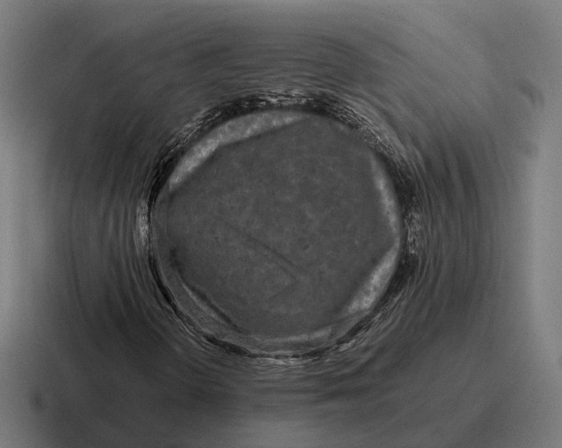 X0000116801298200912311928