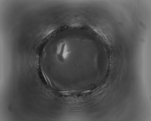 X0000116801301200912311928