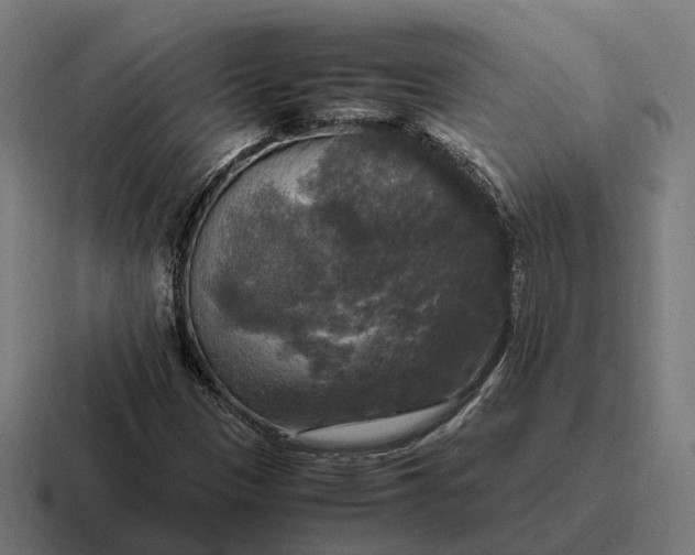 X0000116801305200912311928