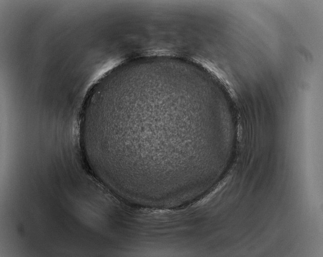 X0000116801309200912311928