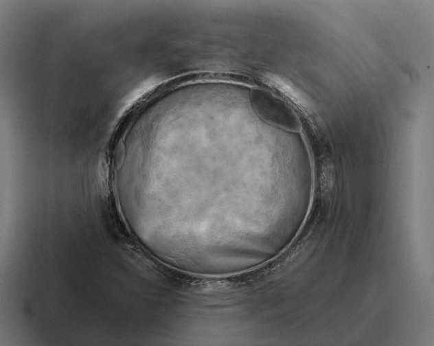 X0000116801310200912311928