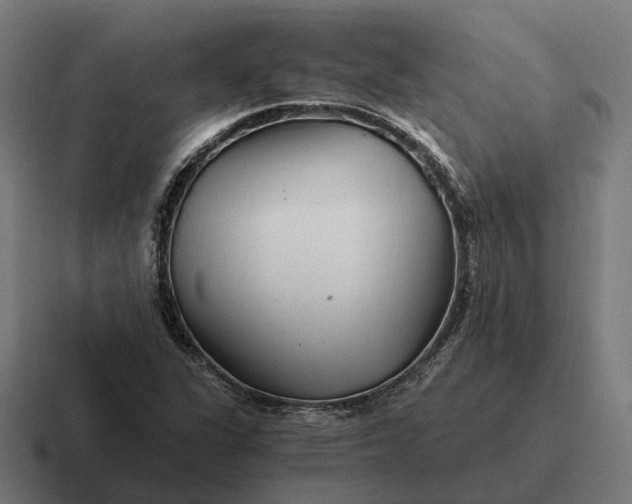 X0000116801311200912311928