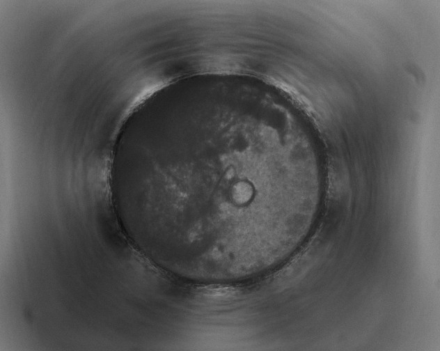 X0000116801314200912311928