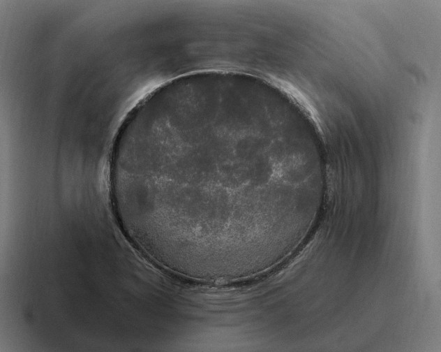 X0000116801318200912311928