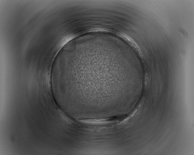 X0000116801321200912311928