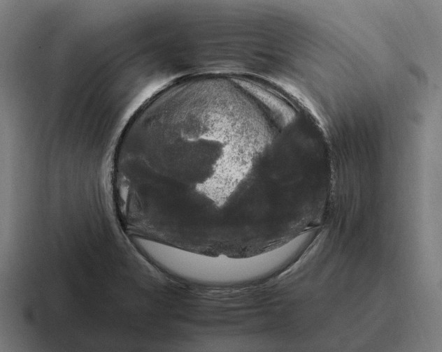 X0000116801325200912311928