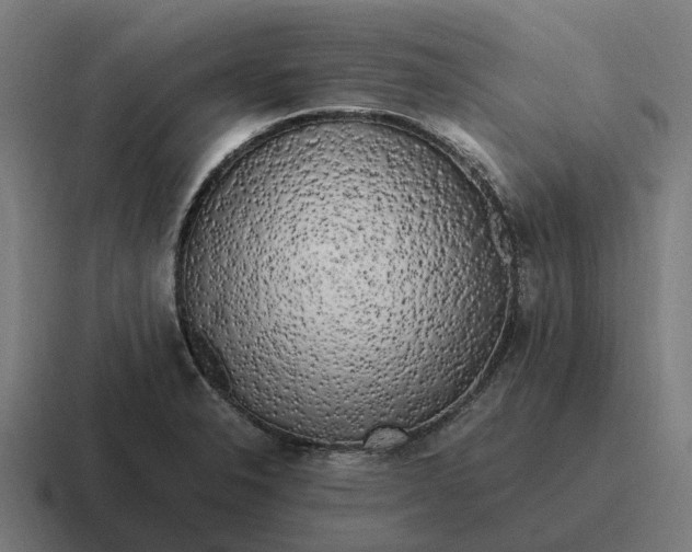 X0000116801326200912311929