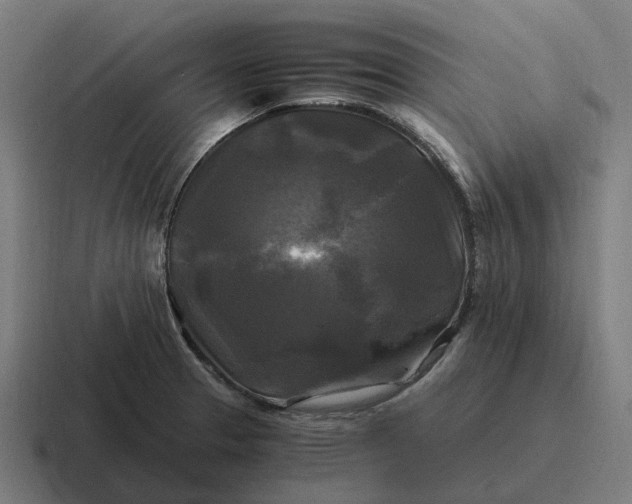 X0000116801329200912311929