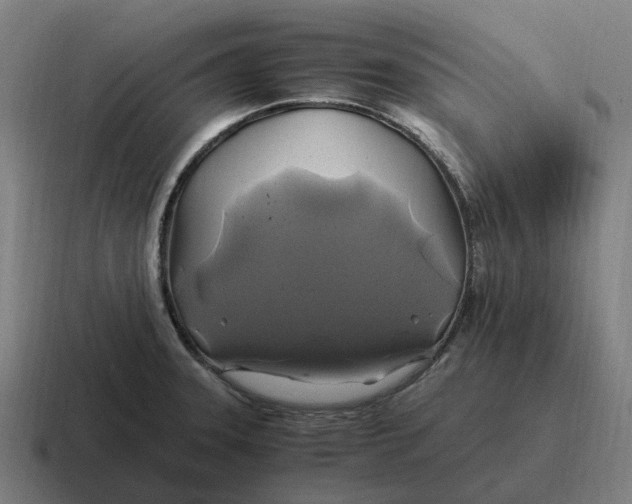 X0000116801331200912311929