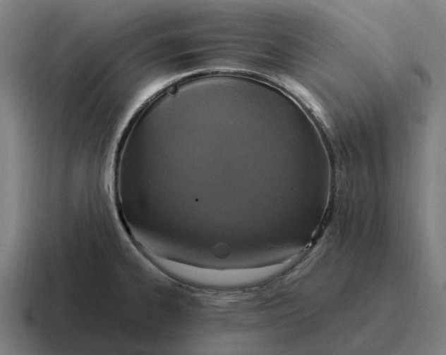 X0000116801334200912311929