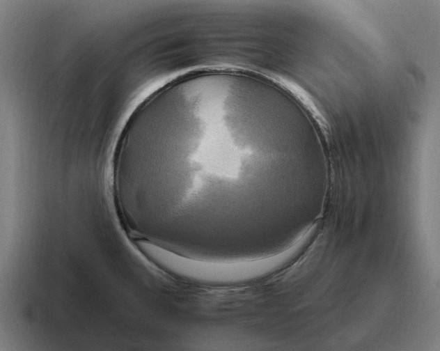 X0000116801335200912311929