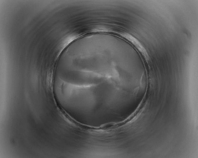 X0000116801337200912311929