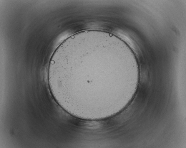 X0000116801338200912311929