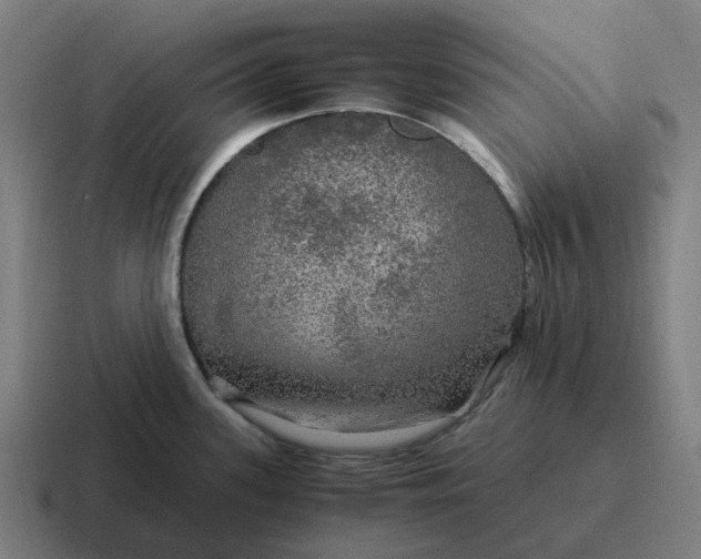 X0000116801339200912311929