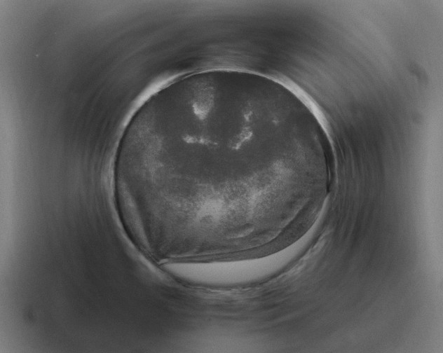 X0000116801341200912311929