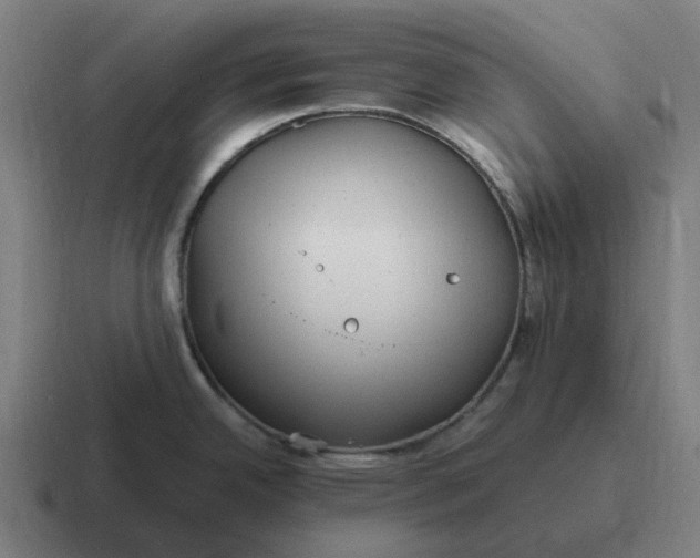 X0000116801342200912311929