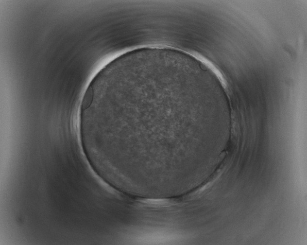 X0000116801343200912311929