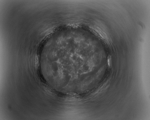 X0000116801347200912311928