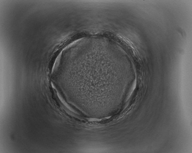 X0000116801349200912311928