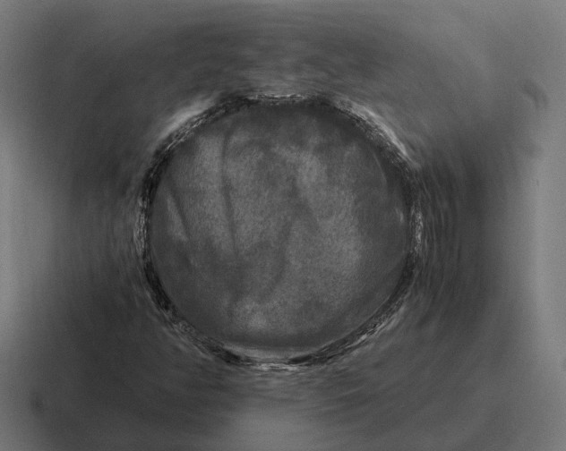 X0000116801350200912311928