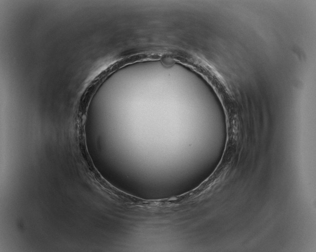 X0000116801352200912311928