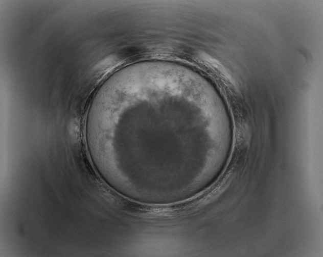 X0000116801353200912311928