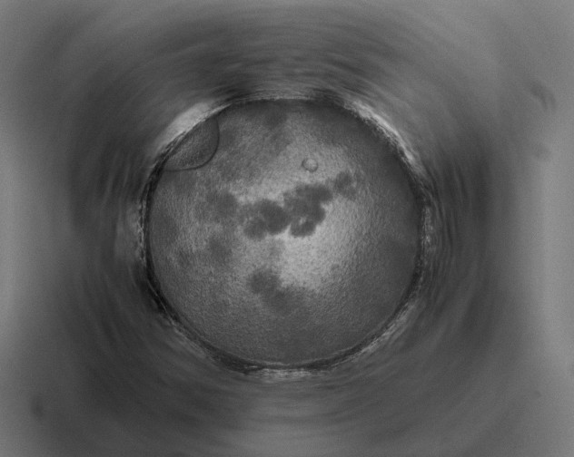 X0000116801354200912311928