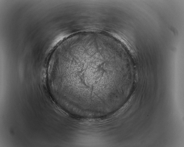 X0000116801355200912311928