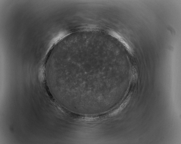 X0000116801357200912311928