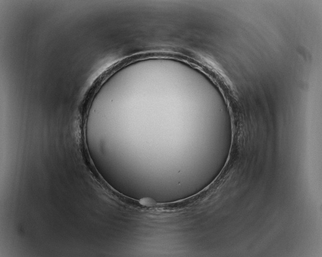 X0000116801360200912311928