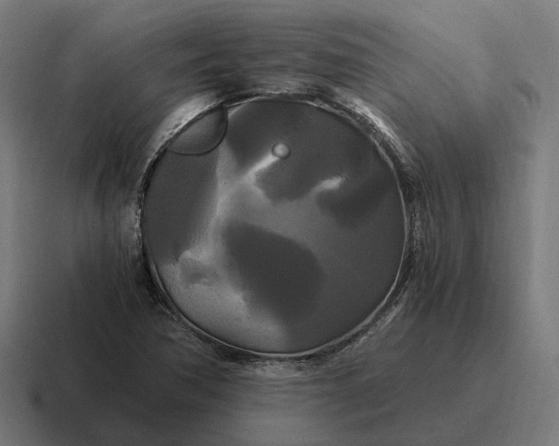 X0000116801362200912311928